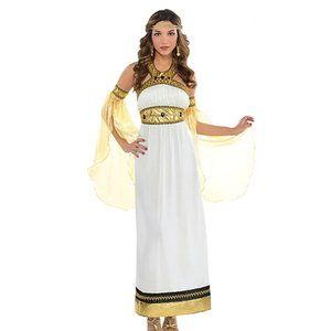 Adult Divine Goddess Costume